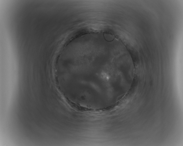 X0000113921009200909241525