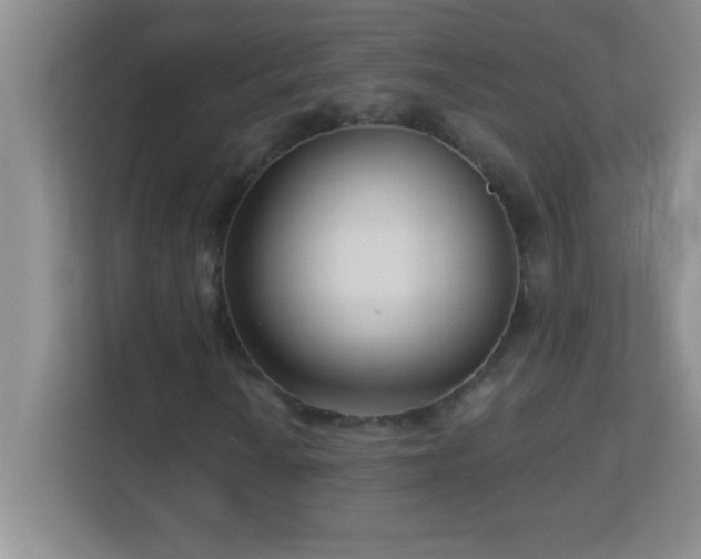 X0000113921010200909241525