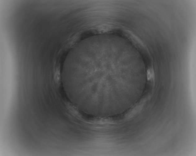 X0000113921011200909241525