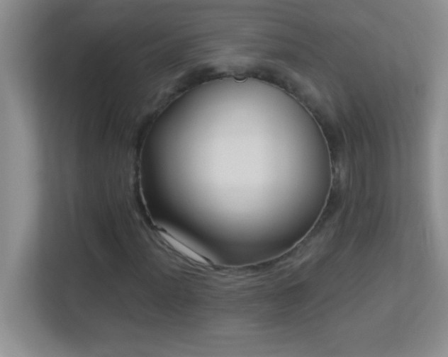 X0000113921012200909241525