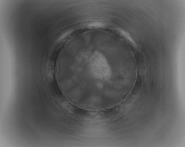 X0000113921015200909241525