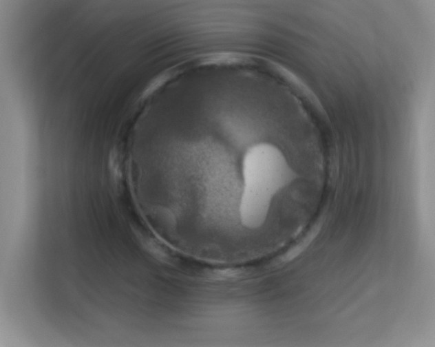 X0000113921017200909241525