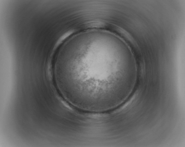 X0000113921018200909241525