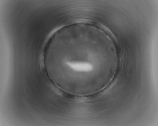 X0000113921019200909241525