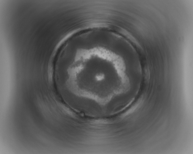 X0000113921021200909241525