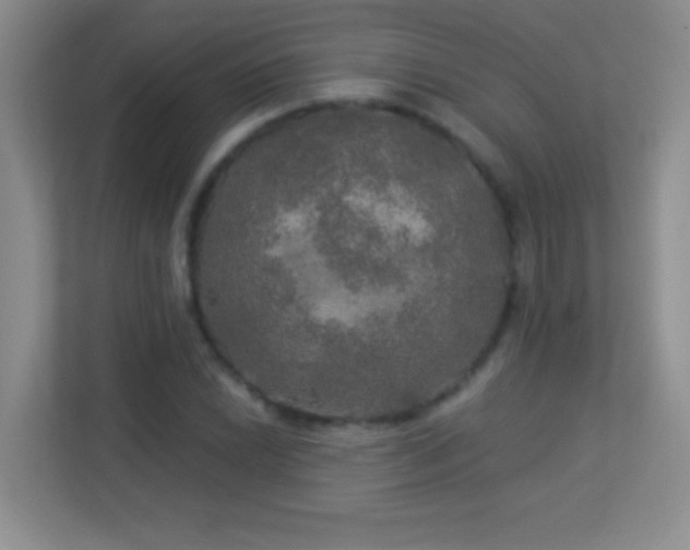 X0000113921022200909241525