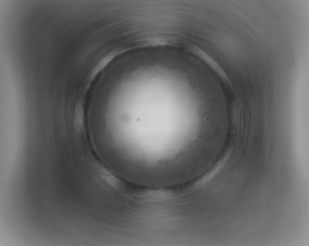 X0000113921023200909241525