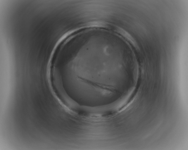 X0000113921024200909241525