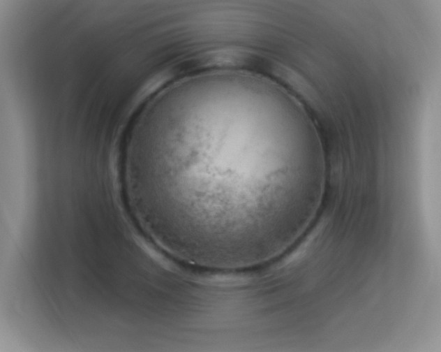 X0000113921026200909241525