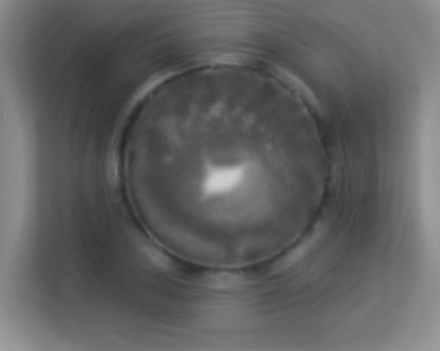 X0000113921027200909241525