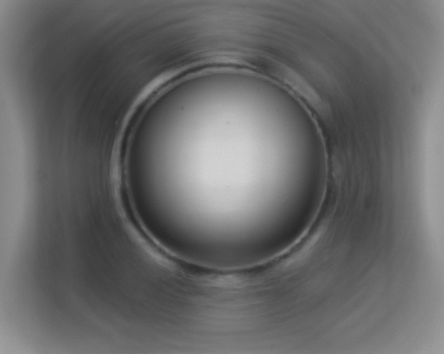 X0000113921028200909241525