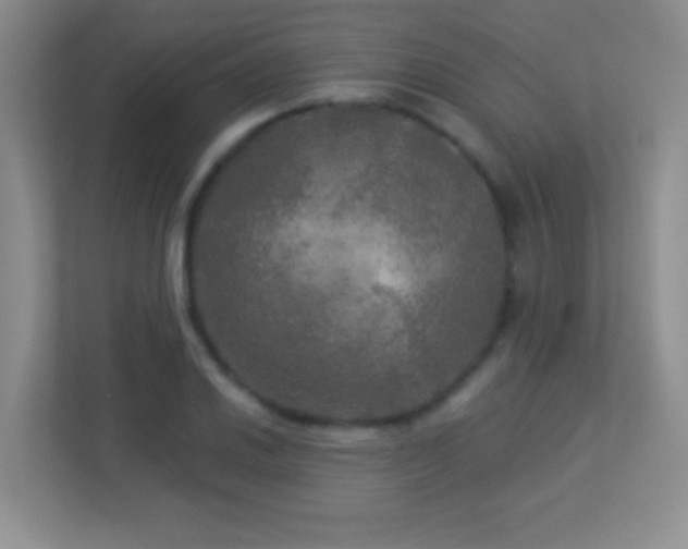 X0000113921030200909241525