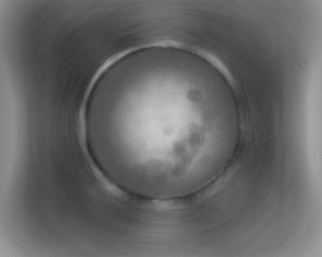 X0000113921032200909241525