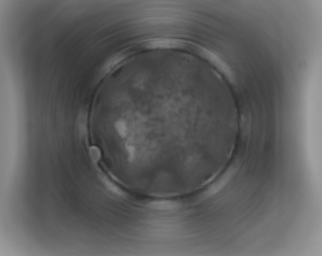 X0000113921033200909241525