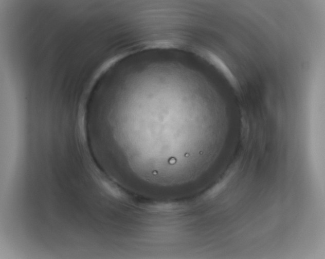 X0000113921035200909241525