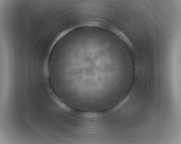 X0000113921036200909241525