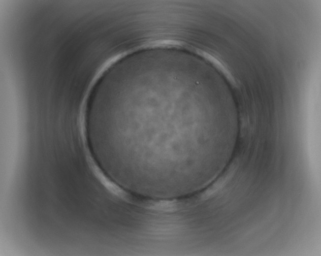 X0000113921038200909241526