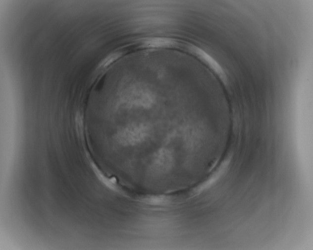 X0000113921041200909241526