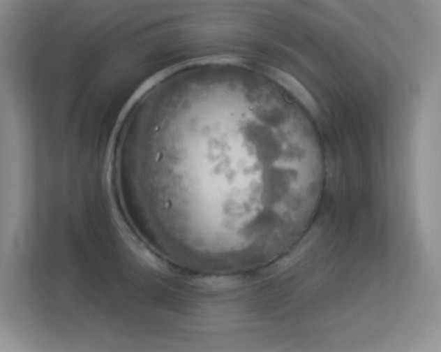 X0000113921044200909241526