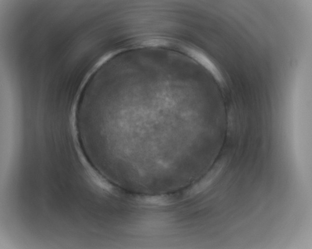 X0000113921047200909241526