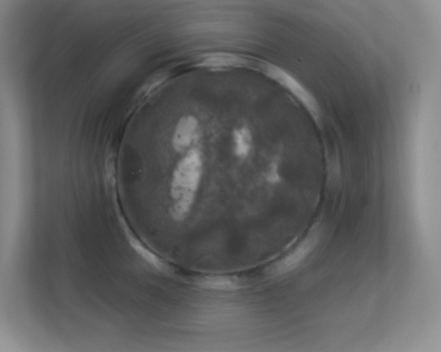 X0000113921049200909241526