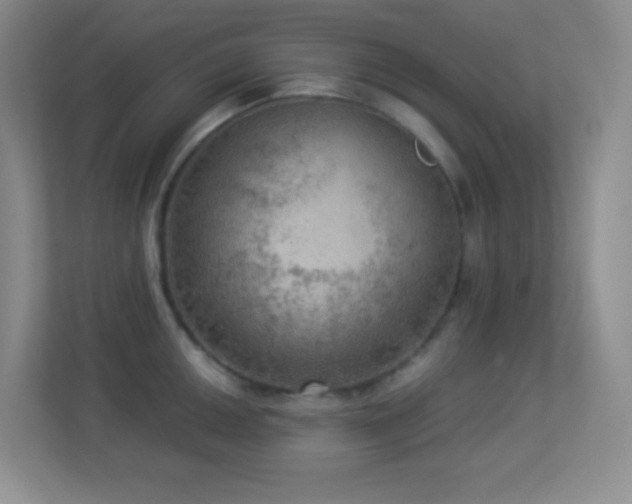 X0000113921050200909241526