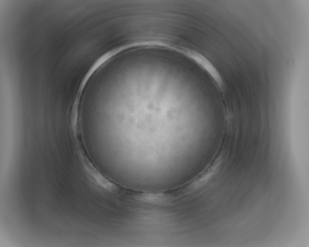 X0000113921052200909241526