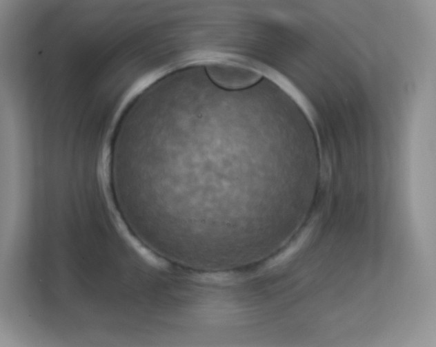 X0000113921053200909241526