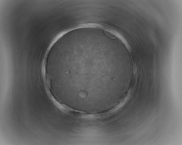 X0000113921054200909241526