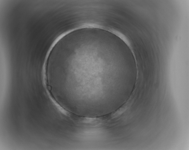 X0000113921056200909241526