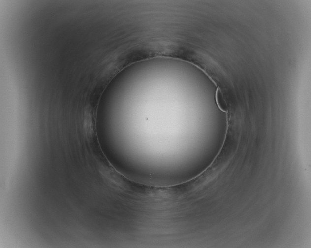 X0000113921058200909241525