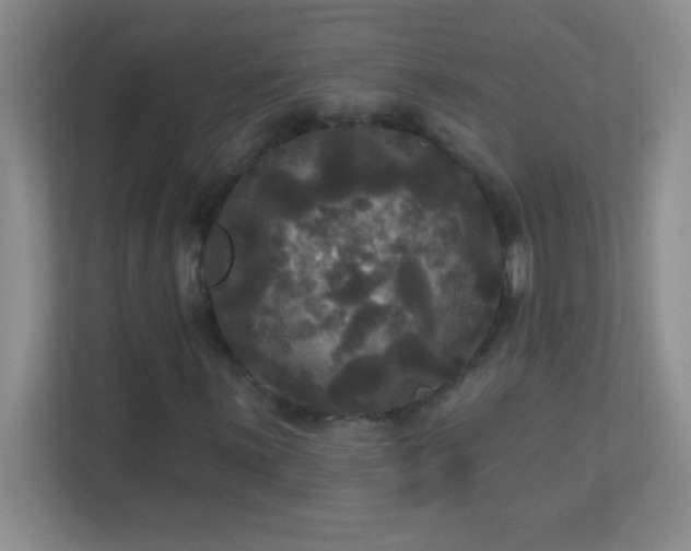 X0000113921059200909241525