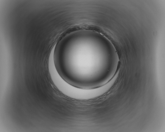 X0000113921060200909241525