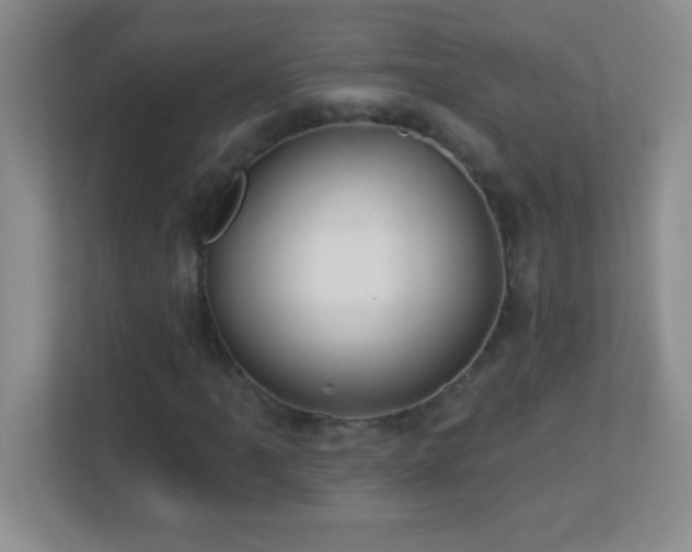 X0000113921061200909241525