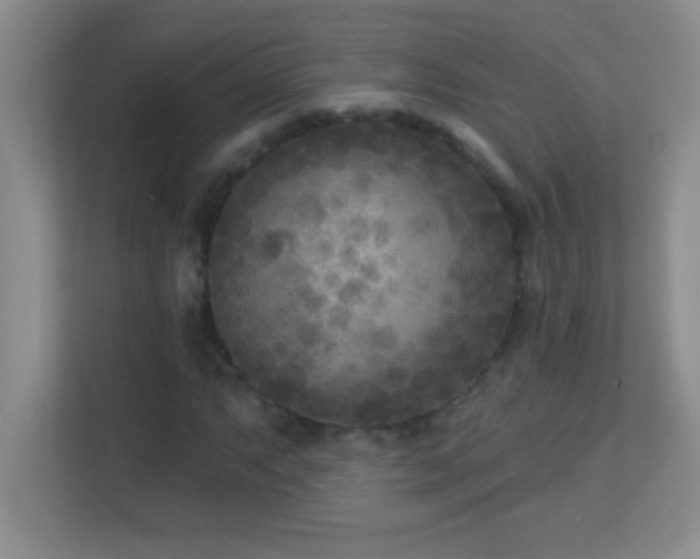 X0000113921063200909241525