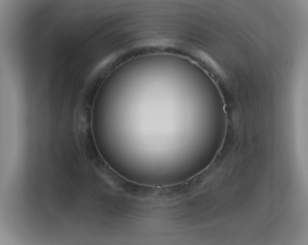 X0000113921064200909241525