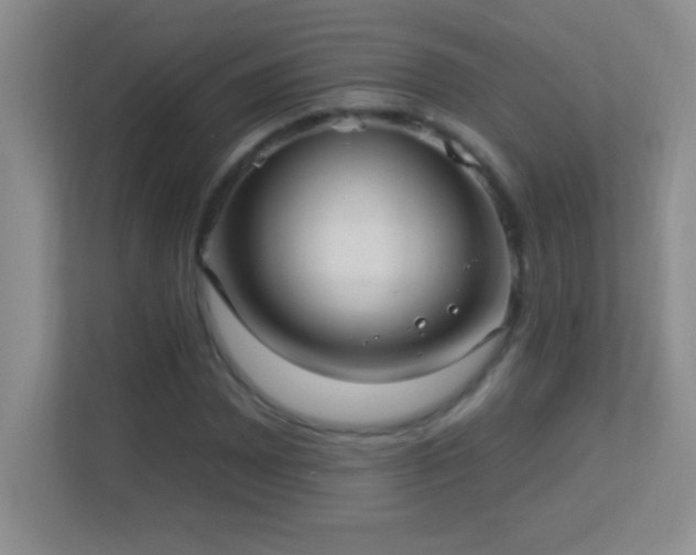 X0000113921065200909241525