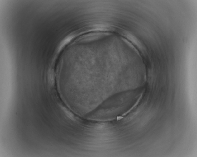 X0000113921067200909241525