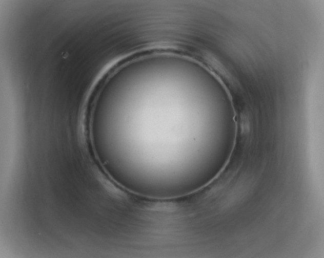 X0000113921068200909241525