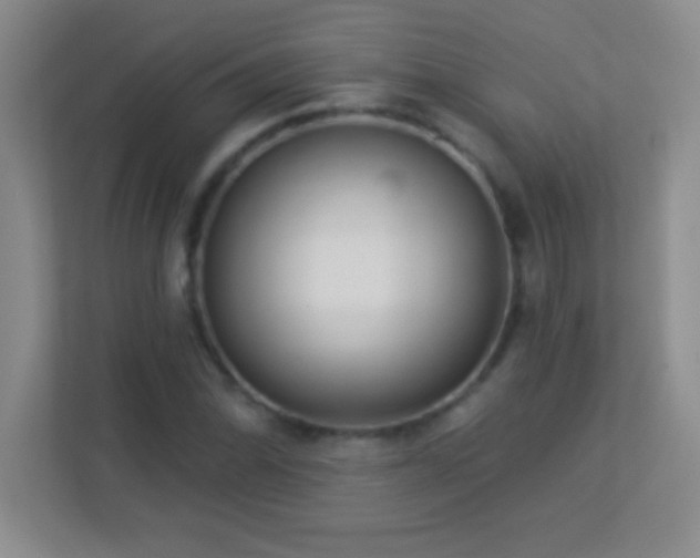 X0000113921070200909241525