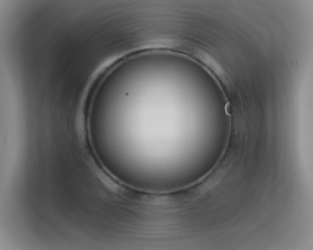 X0000113921072200909241525