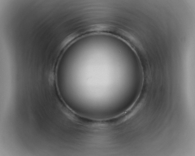 X0000113921073200909241525