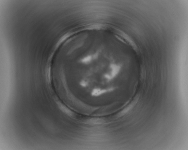 X0000113921075200909241525