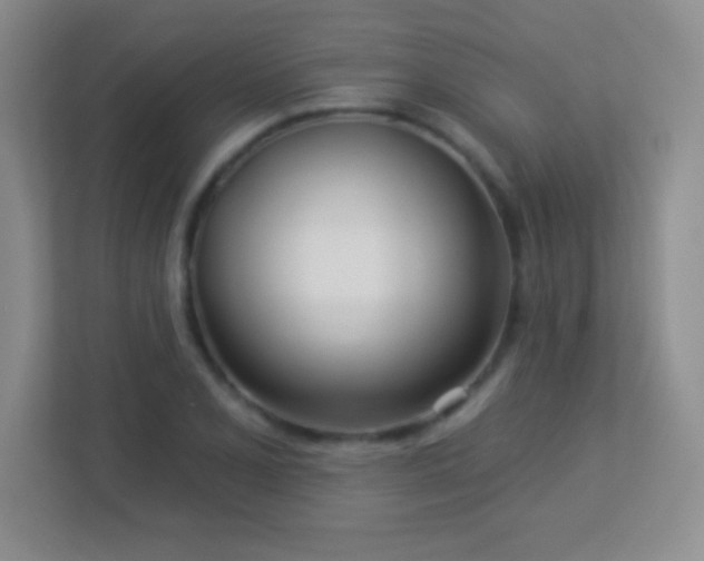 X0000113921077200909241525