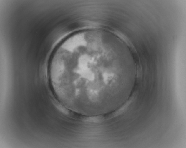 X0000113921078200909241525