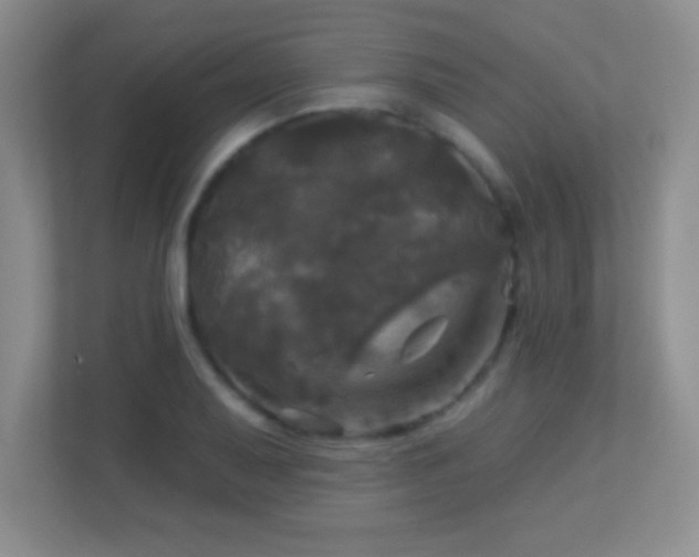 X0000113921079200909241525