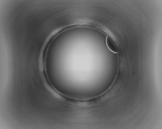 X0000113921080200909241525