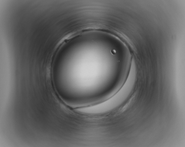 X0000113921081200909241525