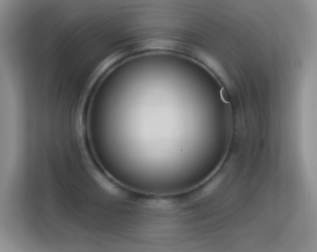 X0000113921082200909241525