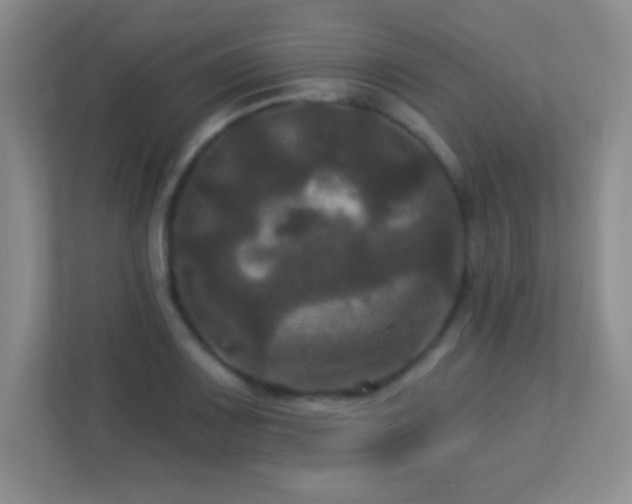 X0000113921083200909241525